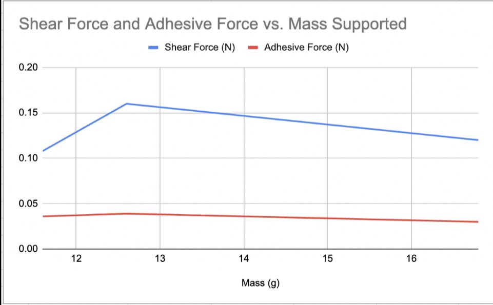 This week in Biodesign 580 we explored the adhesive property of the setae in gecko lamella and created our own bio inspired design application to attempt to reduce slippage in tube tops. Our silicone based prototype was sewed onto the shirt and is in testing!  #biodesign #uofm