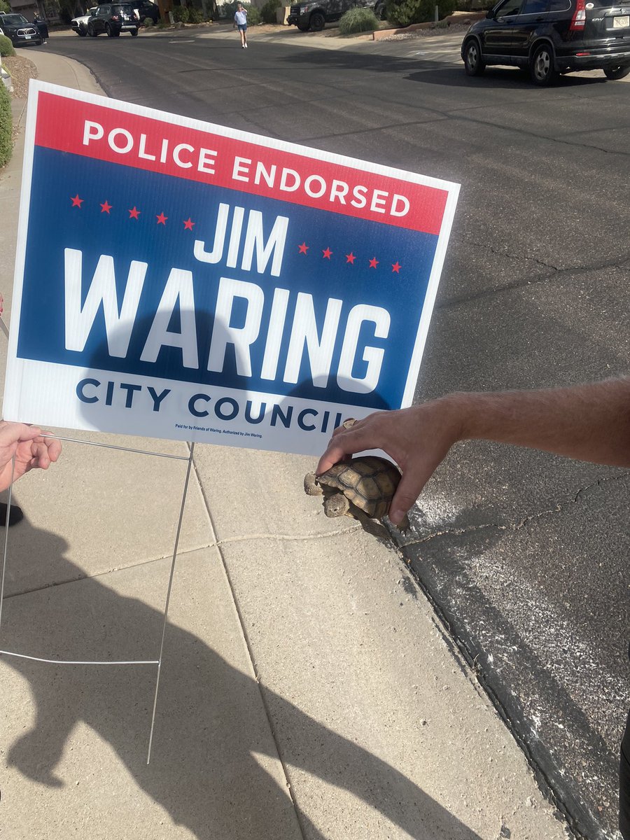 Putting up yard sign in Tatum Ranch. Neighbor saw me and asked for sign as well. He was thrilled when his missing for a month turtle crawled out of bush near sign placement.