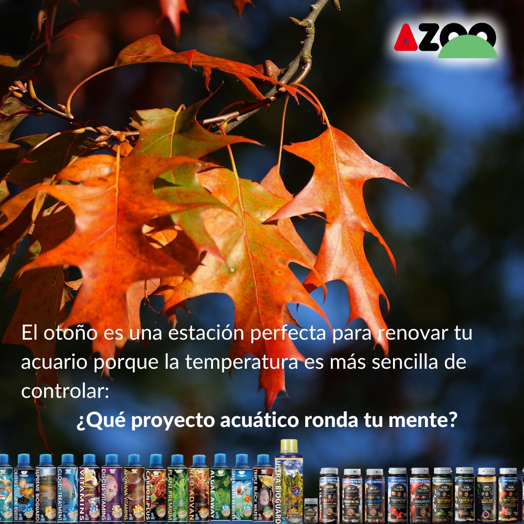 AzooSpain's tweet image. Recuerda que encontrarás todos nuestros productos en tiendas especializadas con personal encantado de echarte una mano con tus proyectos de aquascaping, cría de peces  o simplemente, mantenimiento de acuarios. 
Conócenos más en azoo.es. 
#aquascaping #acuarios