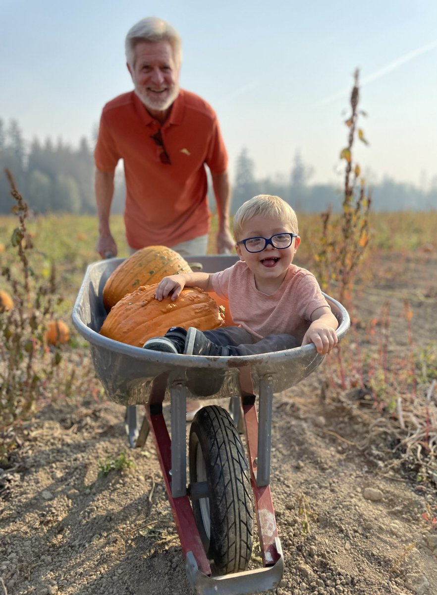 Fun at the pumpkin patch with grandpa <a href="/DanLewisNews/">Dan Lewis</a>.