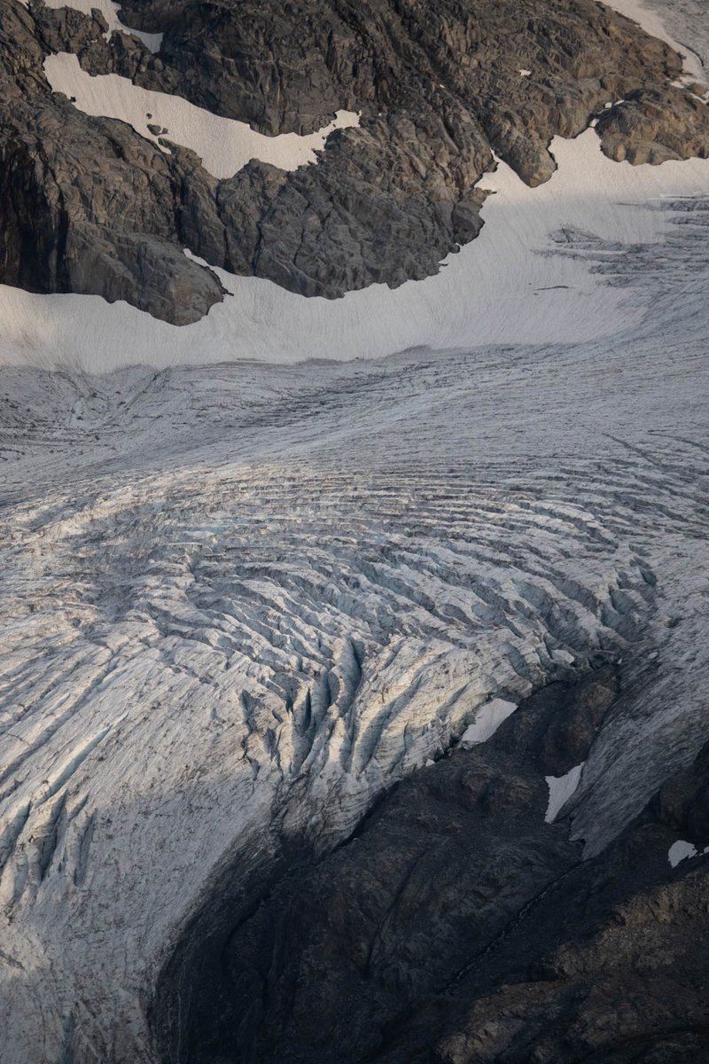 Glaciers end 🥶 #NFTs 

it’s nice to be back on Twitter 🤘
#NFTCommunity #photography #nftart #adventure #BritishColumbia #exploretocreate