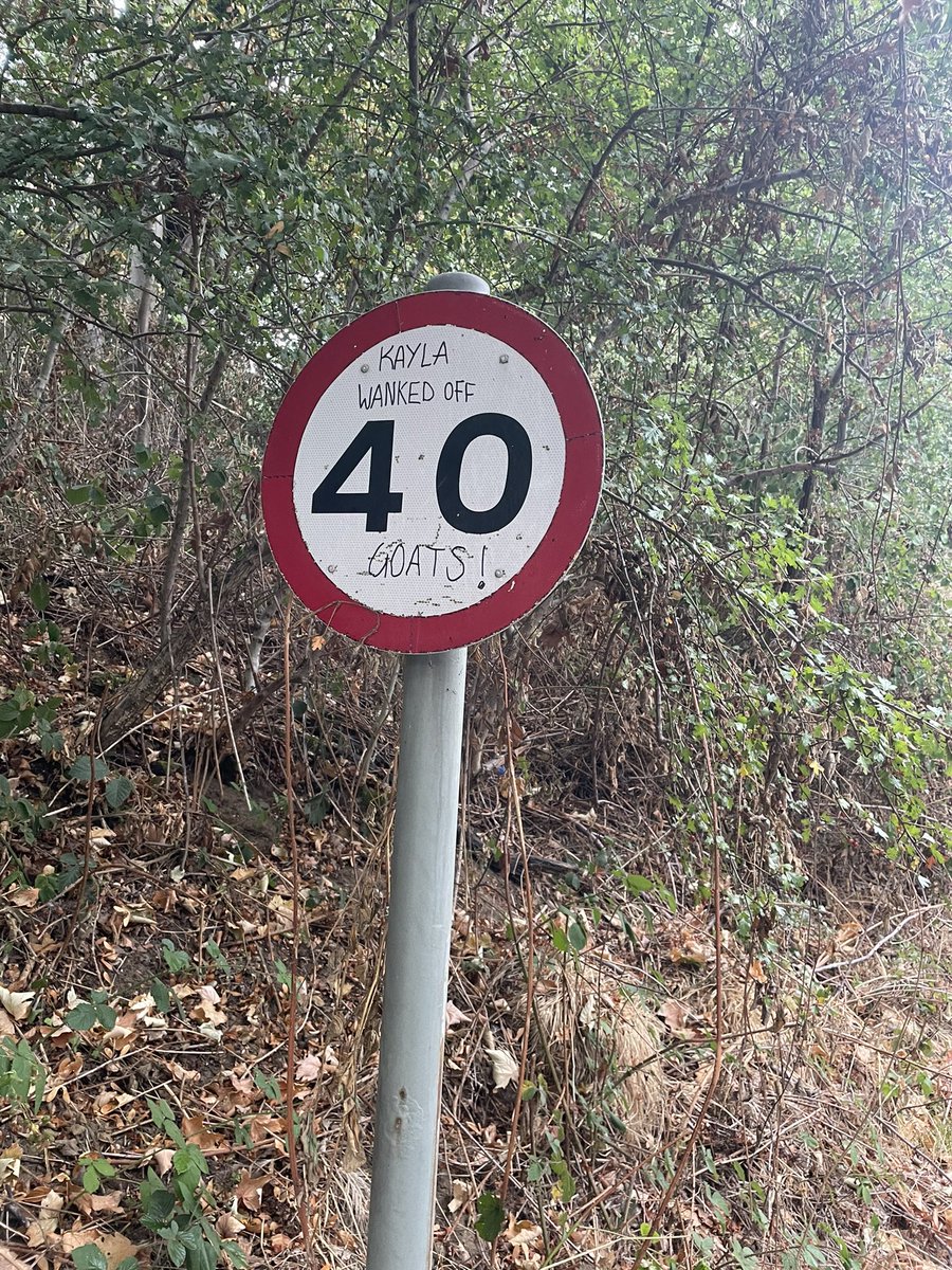 georgetaylor99_'s tweet photo. Go queen https://t.co/0N1dLT5gZO