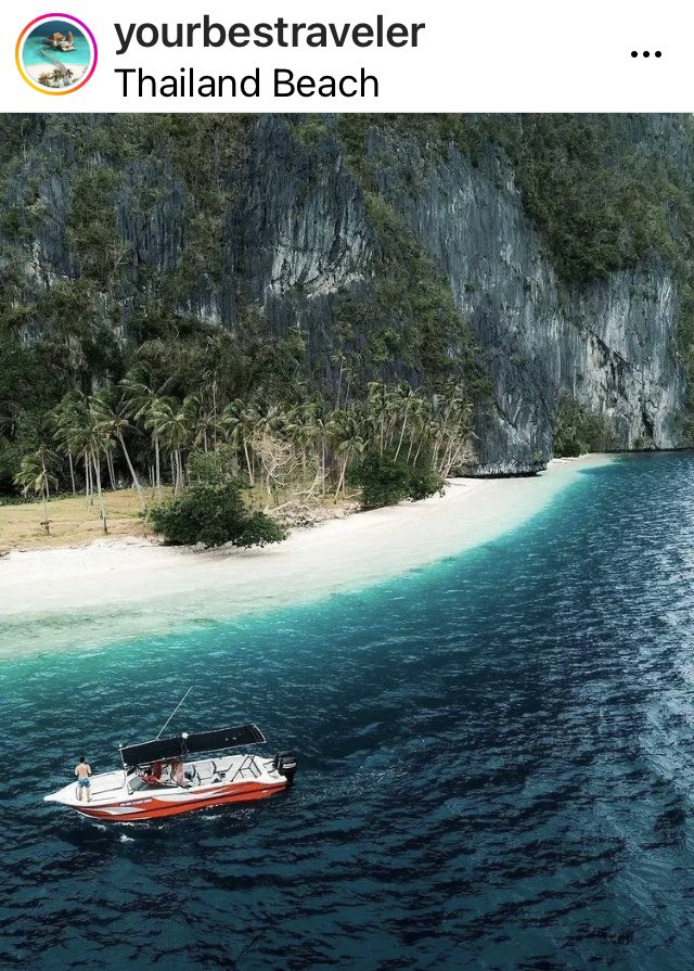 Moët & Chandon tweet media