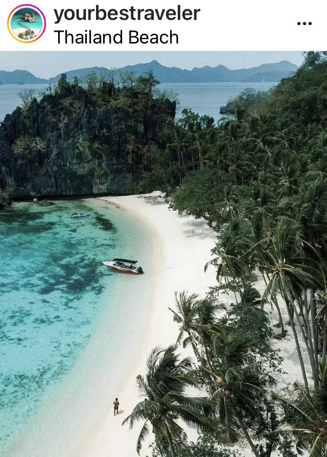 Moët & Chandon tweet media