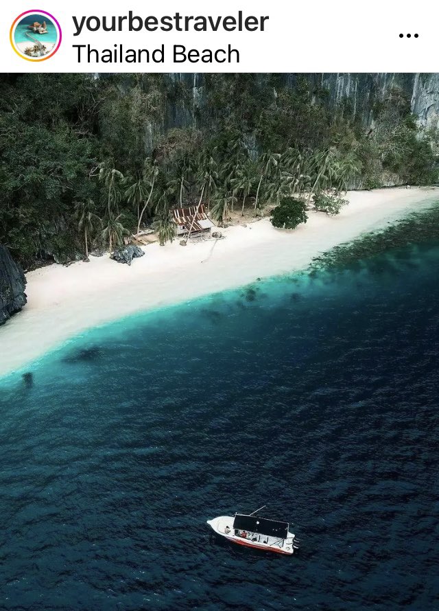 Moët & Chandon tweet media