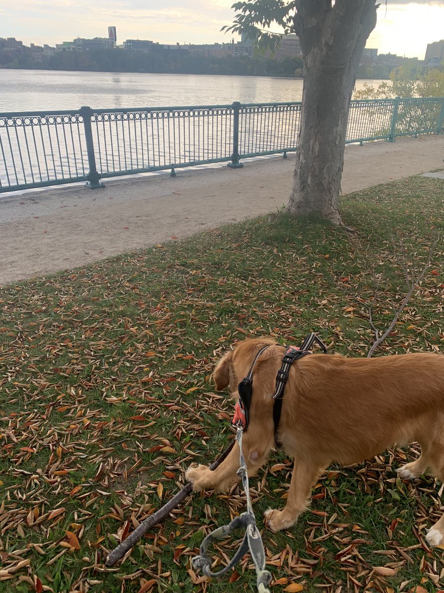 Soya Park tweet media