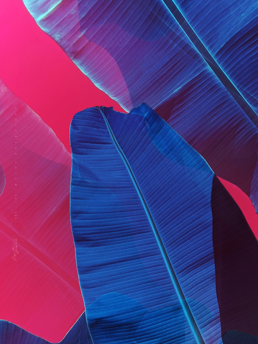 ☞△
𝚝𝚑𝚛𝚘𝚞𝚐𝚑_𝚝𝚑𝚎_𝚙𝚛𝚒𝚜𝚖_▲
ᴎoiƚidiʜxƎ ЯV
uoıʇıqıɥxƎ ᴚΛ

solsea.io/c/618c6fccd88e…

<a href="/SolSeaNFT/">SolSea</a>