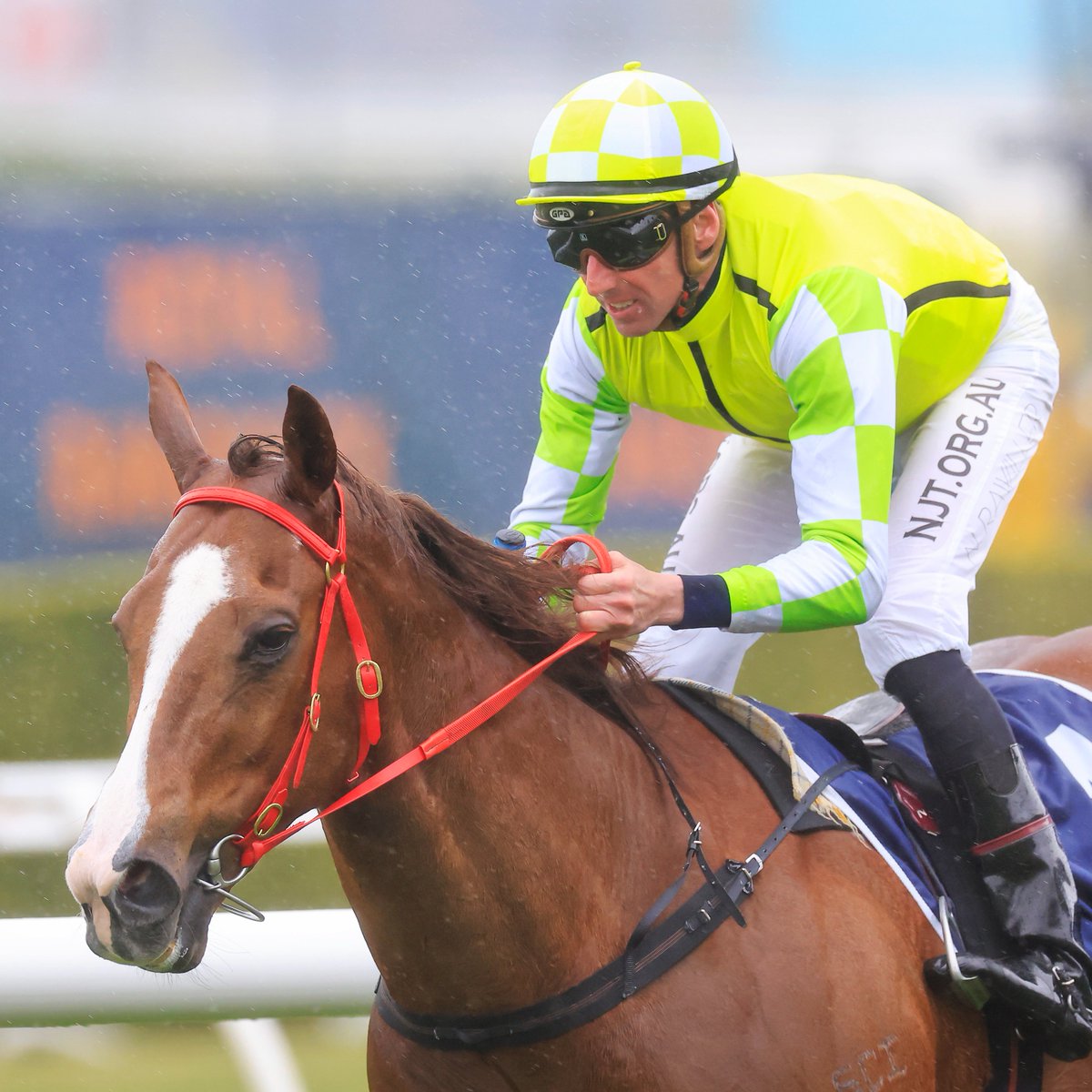 7HorseRacing 🐎 tweet media