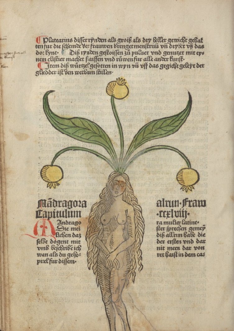 Micaela Rodgers; M.Phil, M.L.I.S. tweet media