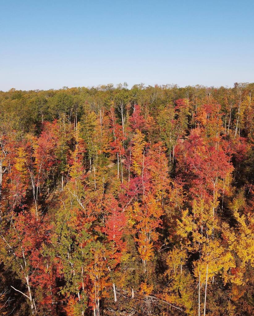 jcutler818's tweet photo. Northern Michigan is beautiful anytime of year but Fall time is exceptionally striking.
#puremichigan https://t.co/7fC6WaNVBm https://t.co/hIcotymwPU