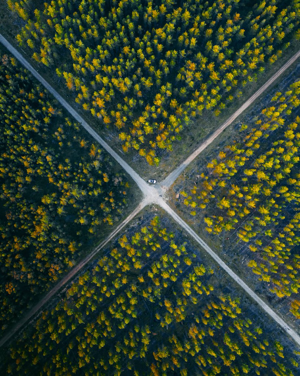 Gab Scanu tweet media