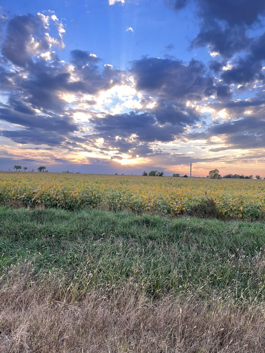 DrBrittonHart's tweet photo. One of my favorite things living in the flint hills! #FarmLife https://t.co/pljoZHN8aC