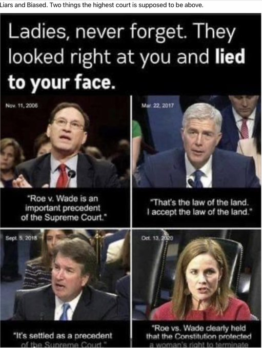 typocatCAv2's tweet photo. #VoteBlueToProtectWomen #VoteInTheMidterms https://t.co/OAD2GBF7No