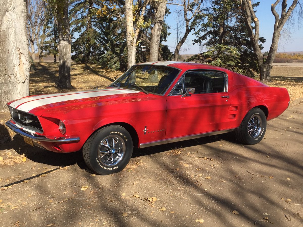 Mustangbob67's tweet photo. It’s getting near to the time I will have to put her away in the garage for hibernation.  But today is not that day!!😎🍻👍 https://t.co/pOIZi6sq8t