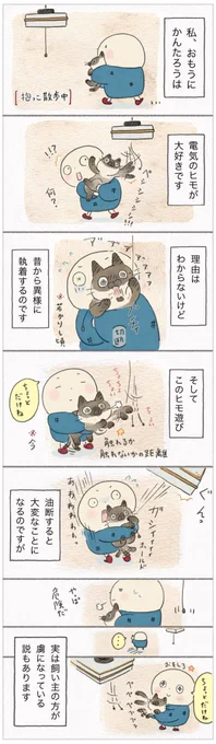 このヒモだーい好き!! 本能を刺激する魅惑のヒモ現る【連載】ねこ連れ草 247話め|ねこのきもちWEB MAGAZINE https://t.co/KEBxSpqEZd 