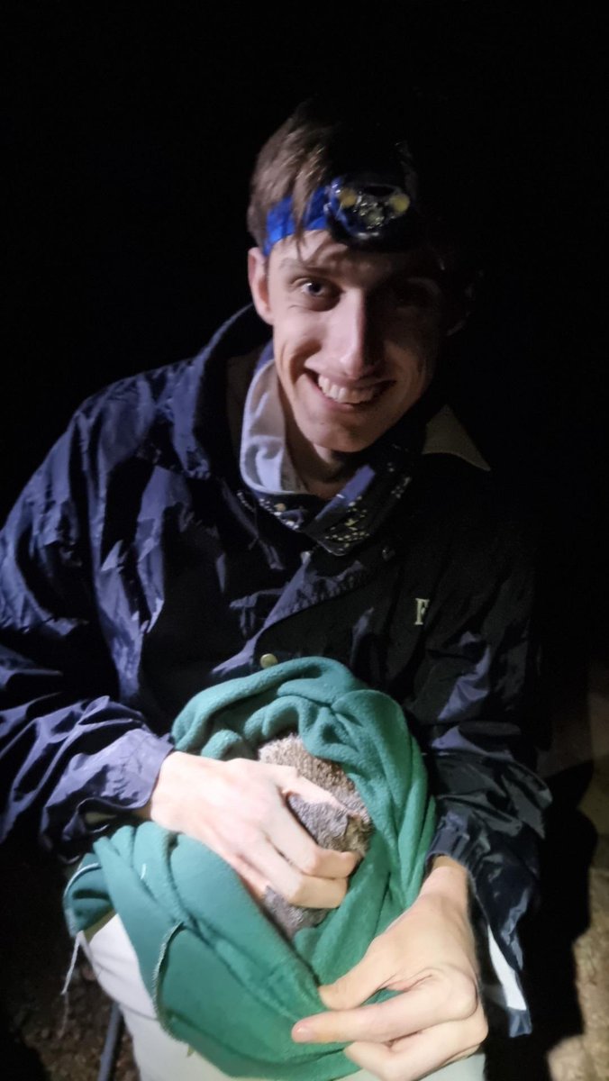 Tom Mansfield (@_tommansfield) on Twitter photo Some of the work I have been doing over the last 2.5 years of my PhD; habitat surveys; glasshouse trials; DNA sequencing; quenda tracking <a href="/MurdochUni/">Murdoch University</a> Some of the work I have been doing over the last 2.5 years of my PhD; habitat surveys; glasshouse trials; DNA sequencing; quenda tracking <a href="/MurdochUni/">Murdoch University</a>