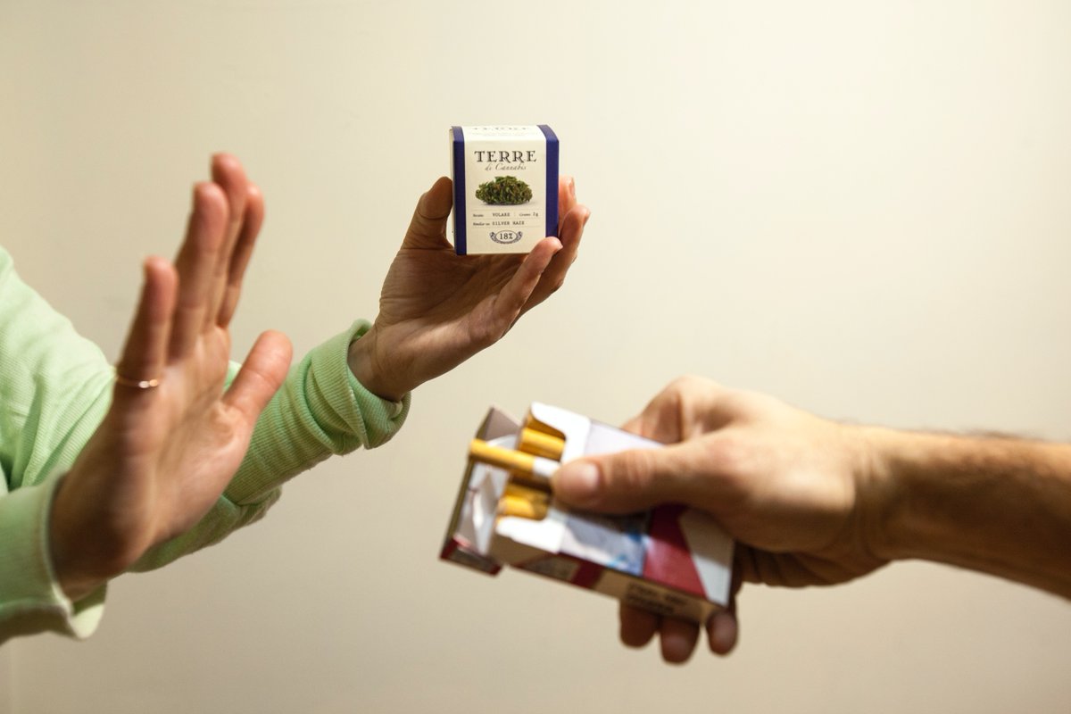 TrusteelE's tweet photo. More Americans Now Smoke Marijuana Than Cigarettes, For The First Time Ever, Gallup Reports

"a record 16 percent of Americans say that they currently smoke cannabis, while just 11 percent reported smoking a cigarette in the past week"

https://t.co/tDQI7fcL3G by @marijuanamoment https://t.co/OBTPMxi7kT