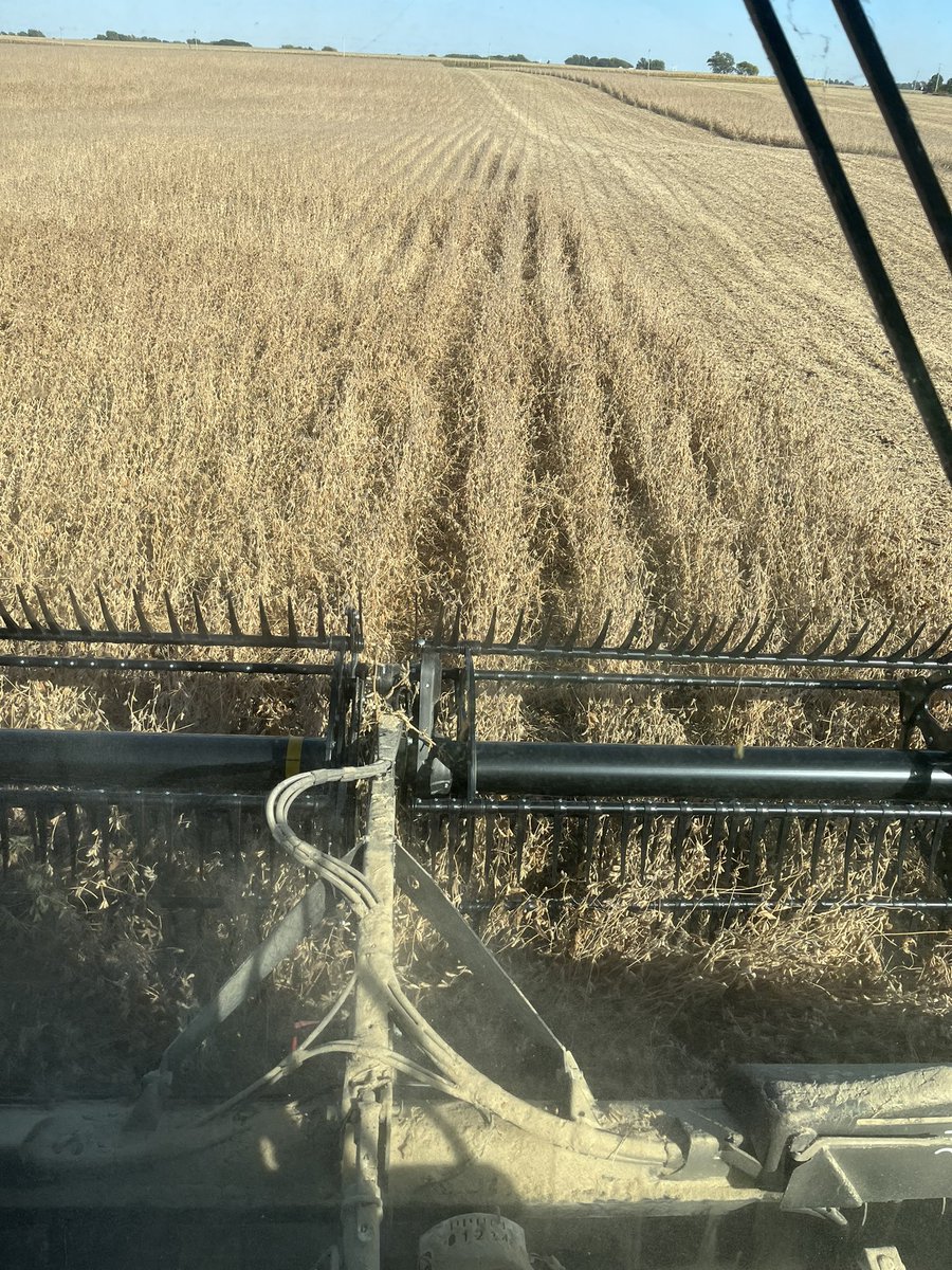 olsonoly19's tweet photo. When you’re done with beans and the neighbor across the road has a combine fire you switch heads and help get the field done. https://t.co/9W01ndgoB5