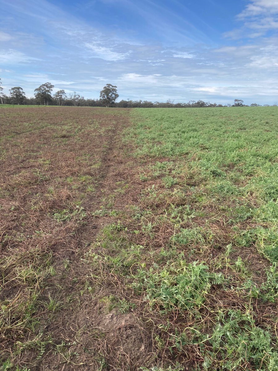 Sam Shields tweet media