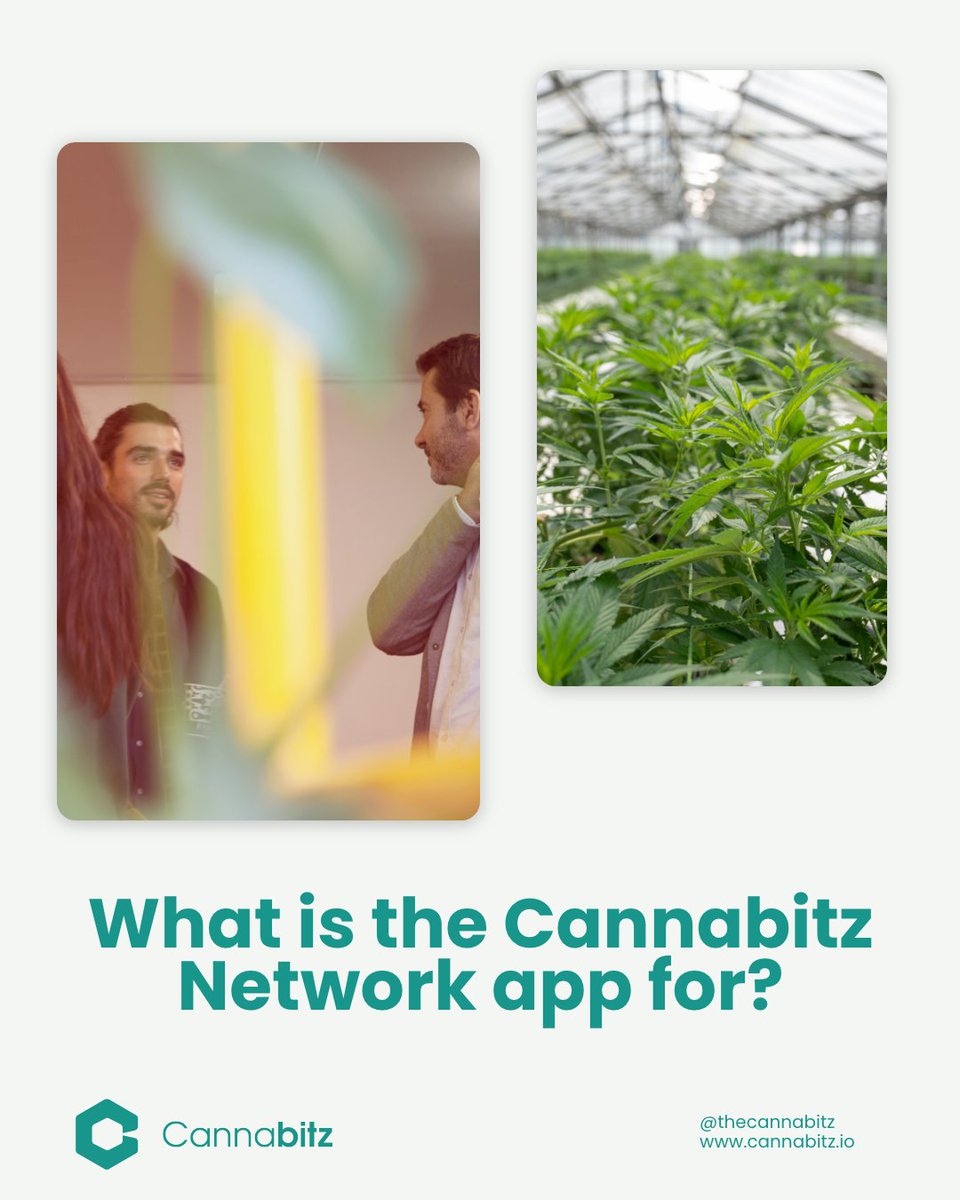 Cannabitz_io's tweet photo. Through Cannabitz network app you will be able to share services, products, contact customers and even get suppliers and partners in the c4nn*b1s industry.
 Join us at @thecannabitznetwork https://t.co/OPpqtgcdDI