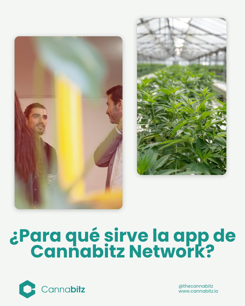 Cannabitz_io's tweet photo. Through Cannabitz network app you will be able to share services, products, contact customers and even get suppliers and partners in the c4nn*b1s industry.
 Join us at @thecannabitznetwork https://t.co/OPpqtgcdDI