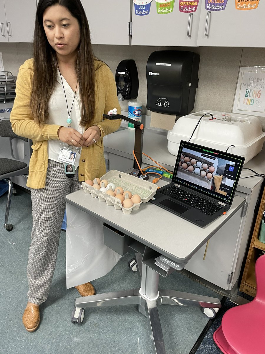 Wendy Hankins (@mrshankinsclass) on Twitter photo .<a href="/tdmedina/">Tania Medina Serrano, M. Ed.</a> introducing our egg arrival and explaining the process of egg to chick to the entire 1st grade class! Thank you, Ms. Serrano! 🥚🐣🐥🐤 <a href="/KirkElementary/">Kirk Elementary</a> <a href="/NavilAlamo/">Navil Alamo</a> <a href="/KellieLeholm/">Mrs. LeHolm</a> <a href="/bjonesclass/">Bryan Jones</a> <a href="/trishabrokus/">Miss Brokus</a> <a href="/miss_montemayor/">Roxanne Montemayor</a> <a href="/kmandorfer/">Kristina White (Andorfer)</a> <a href="/CyFairISD/">Cypress-Fairbanks ISD</a> #KirkCan #KirkROAR .<a href="/tdmedina/">Tania Medina Serrano, M. Ed.</a> introducing our egg arrival and explaining the process of egg to chick to the entire 1st grade class! Thank you, Ms. Serrano! 🥚🐣🐥🐤 <a href="/KirkElementary/">Kirk Elementary</a> <a href="/NavilAlamo/">Navil Alamo</a> <a href="/KellieLeholm/">Mrs. LeHolm</a> <a href="/bjonesclass/">Bryan Jones</a> <a href="/trishabrokus/">Miss Brokus</a> <a href="/miss_montemayor/">Roxanne Montemayor</a> <a href="/kmandorfer/">Kristina White (Andorfer)</a> <a href="/CyFairISD/">Cypress-Fairbanks ISD</a> #KirkCan #KirkROAR