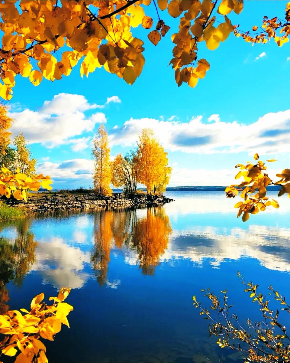 9HUrne5nPVQ7p5h's tweet photo. If you have good friends, cherish them.  Good friends are not easy to find in life.  Have a nice day.🍄🍁🍂
🌼🪴🌼⿻*⌖.:˚◌˳˚⌖🌼🪴🌼⿻*⌖.:˚◌˳˚⌖🌼🪴🌼♪⿻*⌖.:˚◌˳˚⌖📸©️insta_travelmood,🎃🌟🎃🌟 https://t.co/jtMvruR77u