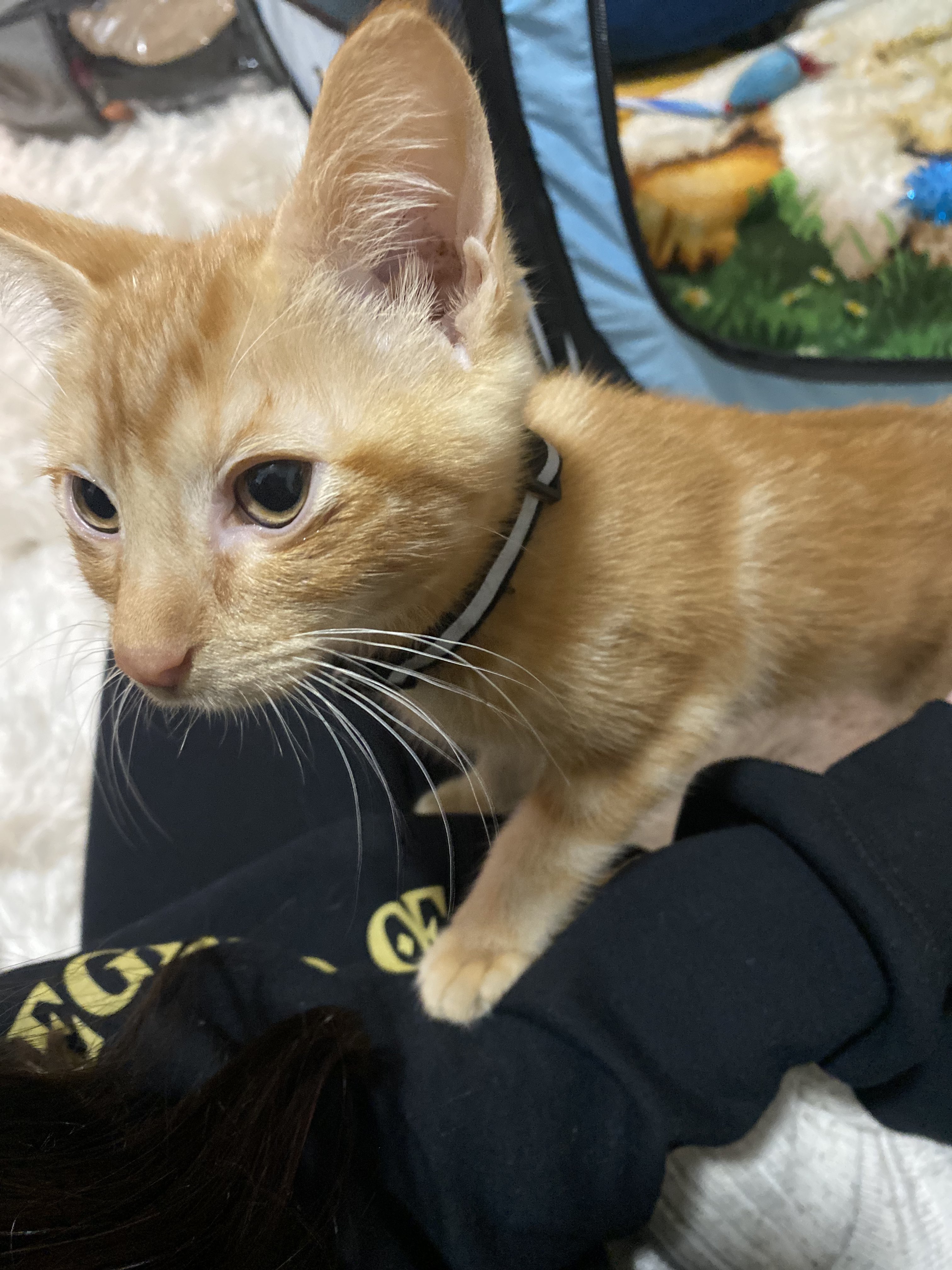 NUNU NELLZ (@nunuu_nellz) / Twitter