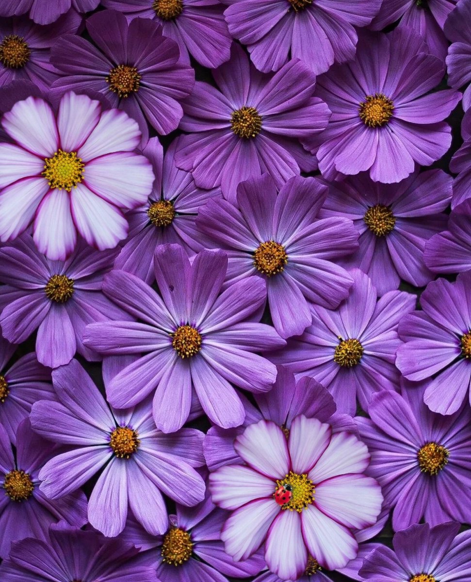 PriyaS_S1069S tweet picture