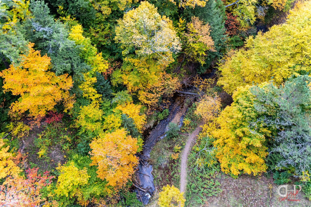 paraordanc's tweet photo. Looking down from the edge of the Cut River Bridge on Saturday
The colors I have FINALLY been to see at this bridge
The other times I was too early or too late
#photography #fallcolors #leaves #colortour #Michigan #upperpeninsula #yooper https://t.co/Akg0B0bi6N