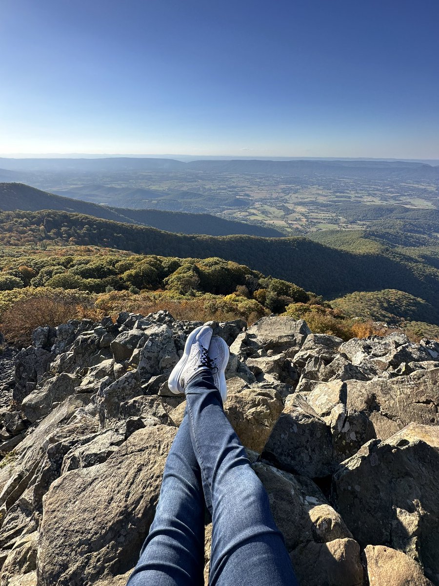 Andrew Smith tweet media