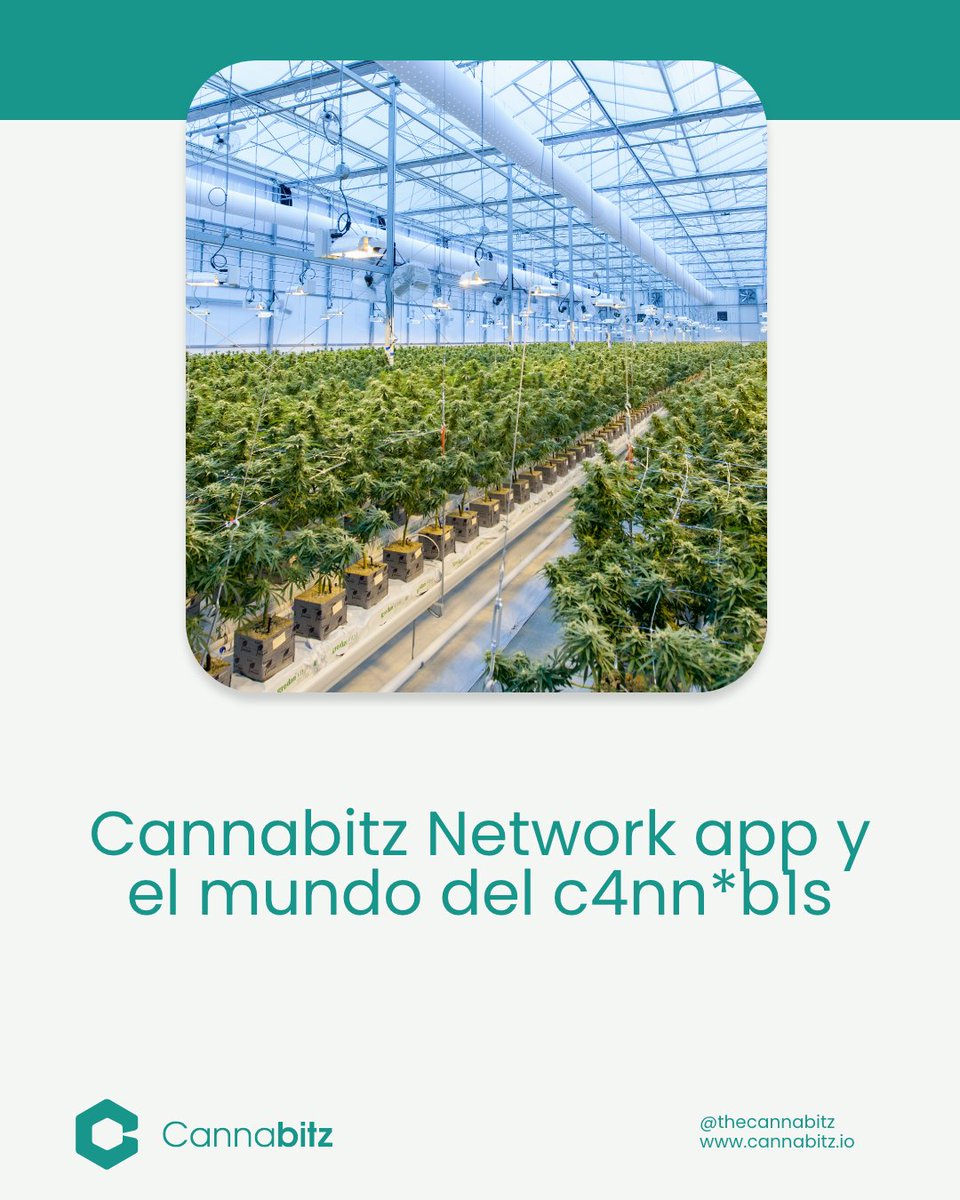 Cannabitz_io's tweet photo. The Cannabitz Network app It is considered the best resource for networking with a specialized cannabis network. Want to know more? Join us at @Thecannabitznetwork https://t.co/rh8Aq0MhXu