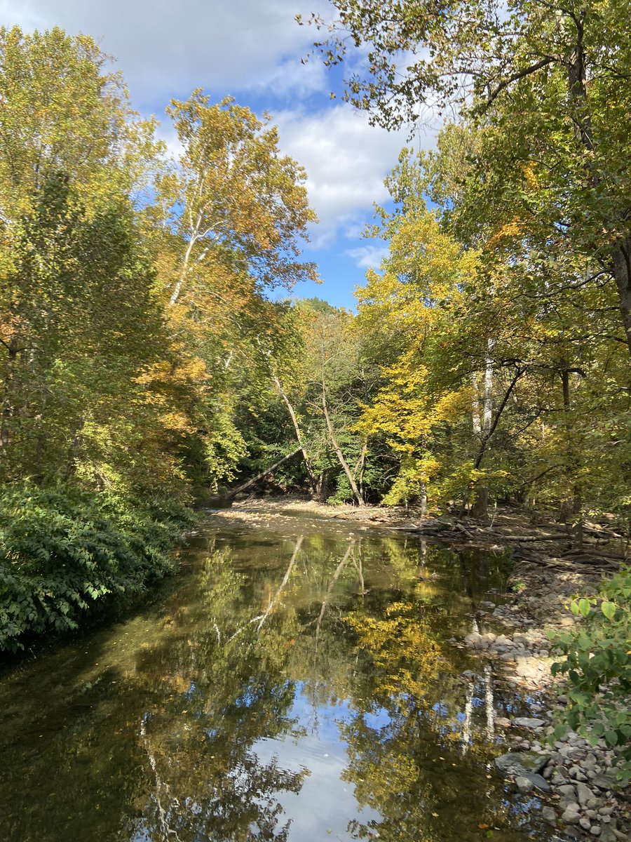 lesswithoutyou's tweet image. October glory at Stoneshire.