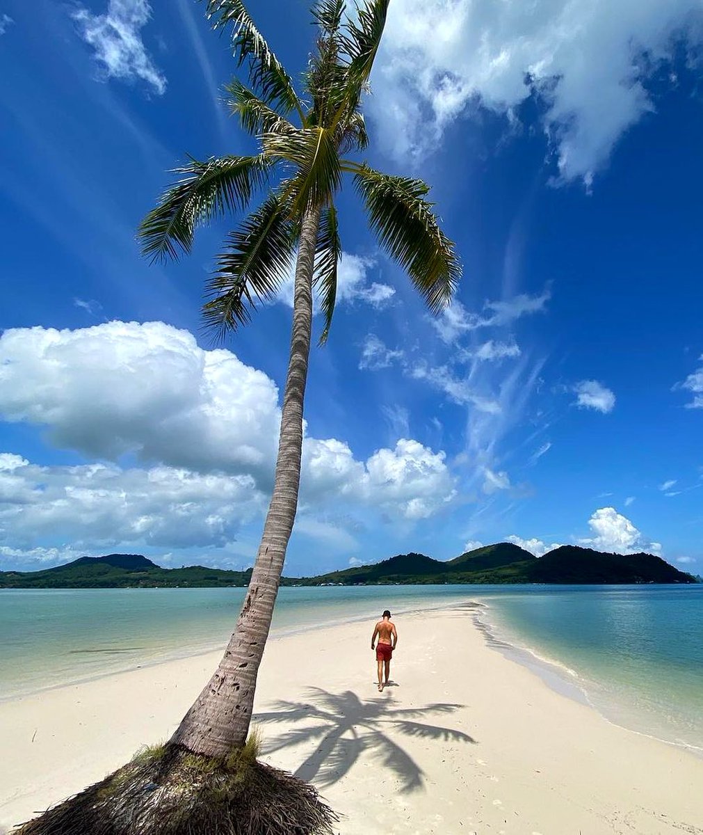 Travelmates_'s tweet photo. من الجزر الجميلة في #تايلند 🇹🇭
👈🏻جزيرة كو ياو ياي 👉🏻
تقع في منتصف الطريق بين بوكيت وكرابي
تمتاز بموقعها المثالي في وسط خليج فانغ نغا🏝
بعيدا عن صخب المدن
تتميز بالطبيعة الخلابة والشواطئ الساحرة
مع توفر مجموعة من الأنشطة والرياضات المائية لجميع الاعمار🌊🐠🤽‍♀️ https://t.co/p3Oh50O4zJ