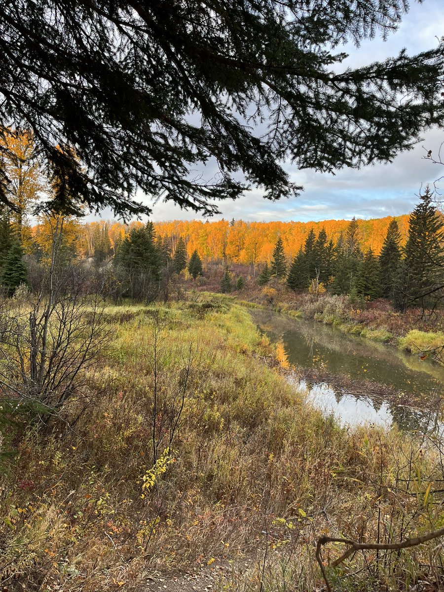 Happy Thanksgiving... beautiful weekend in YEG