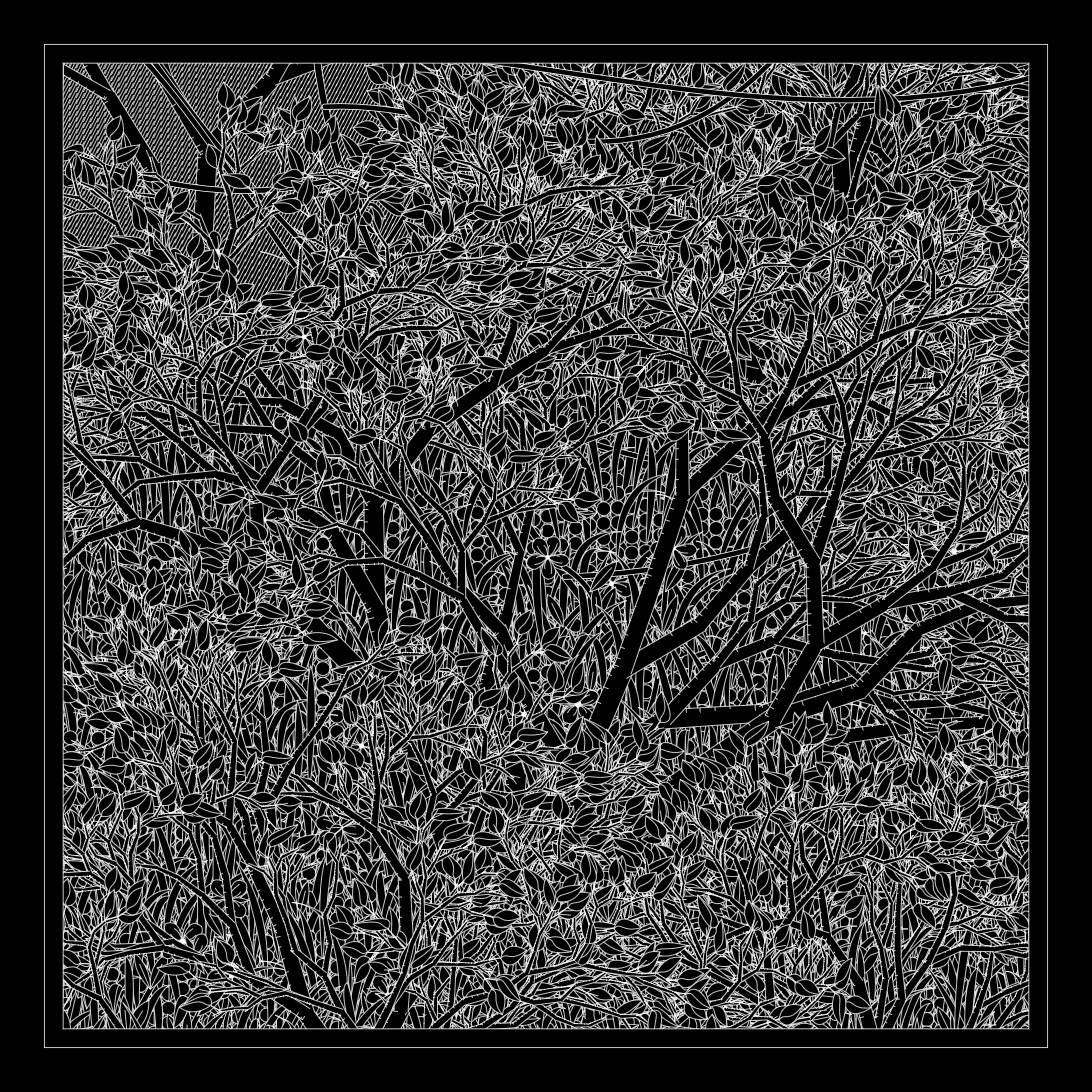 Entangled #280 by <a href="/Tezumies/">Tezumie</a>