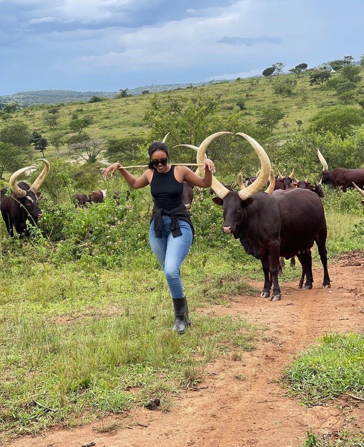 SangwaSifa's tweet photo. The future of agriculture is in the hands of #Youth.
We are ready to change the narrative. https://t.co/ZgEhKHW4Vu