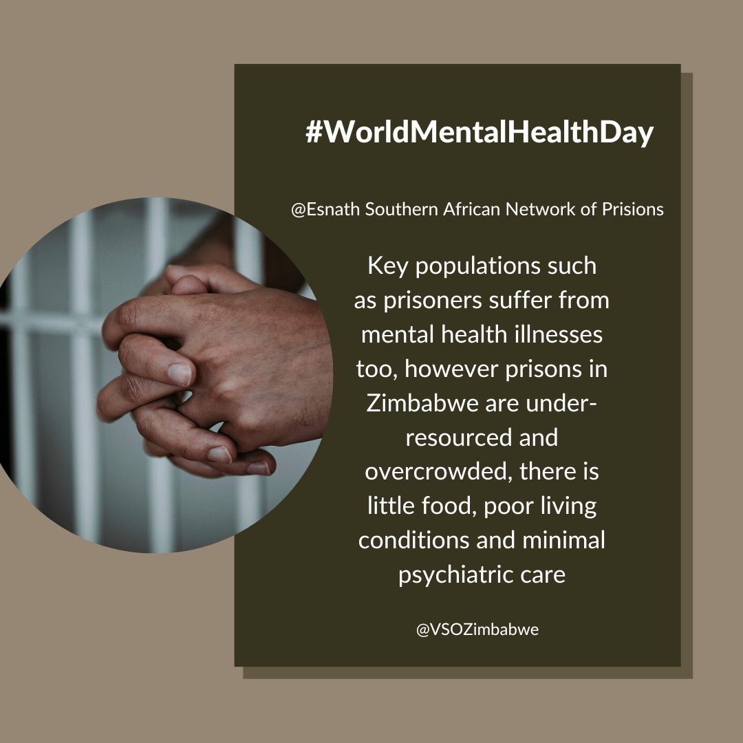 VSO Zimbabwe tweet media