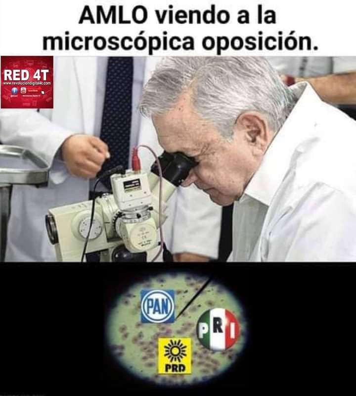 ndurancoronado's tweet image. #Diminutos.