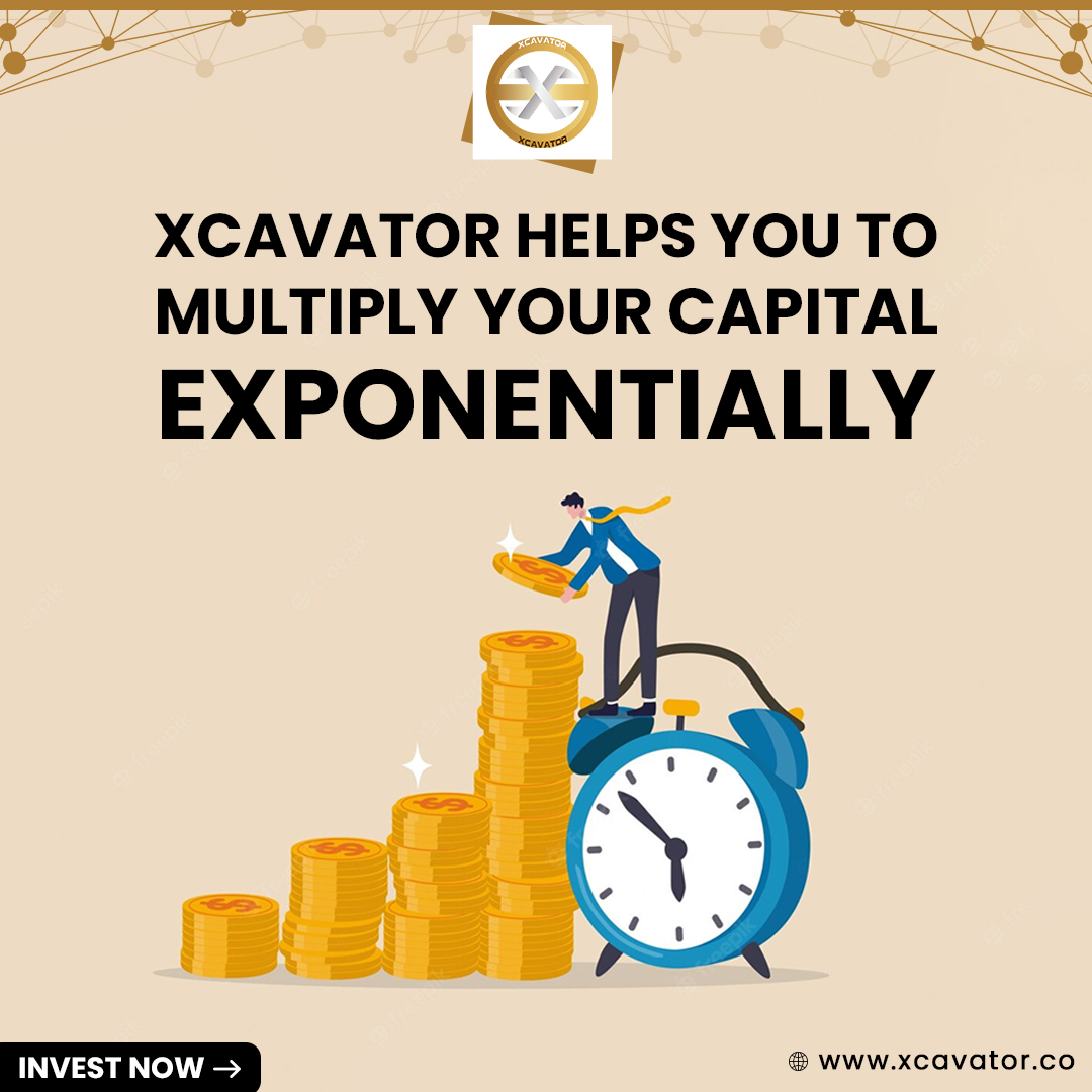 Xcavator International tweet media