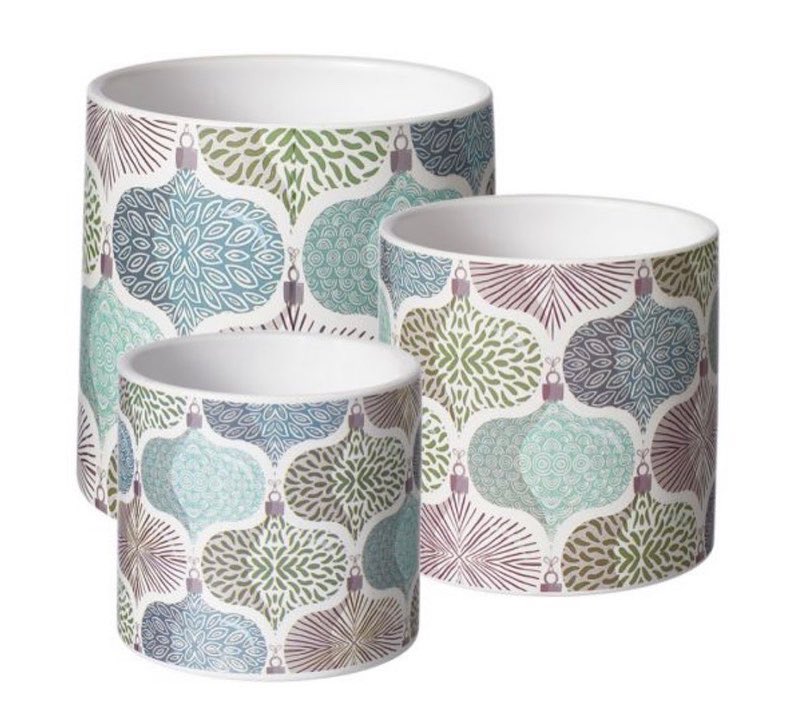 StemsOf's tweet photo. We have some lovely Christmas pots in, various designs & sizes. Not just for plants or miniature tree’s, why not use them for nuts, sweets, or your favourite candle.
🎄🤶🎅
📞07521 911 432
#goodfloristguide
#plasticfree
#Christmas
#ecolivinguk https://t.co/QlqdWYI7nc