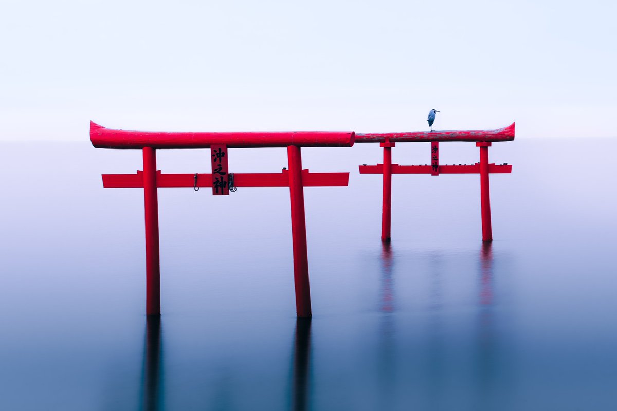 tokyovisite's tweet photo. Aujourd’hui le Japon est enfin réouvert à tous🎊
Je suis français, guide et photographe au Japon.
Comme beaucoup ce fût dur et j’ai failli mettre la clé sous la porte, mais j’ai tenu bon grâce à ma femme❤️et à ma passion de partager ce pays❤️‍🔥
N’hésitez pas à me contacter🤗 https://t.co/gg25bOAjRy