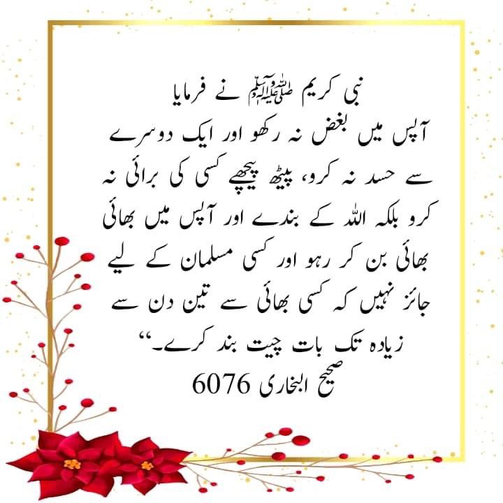 Rabipirzada's tweet photo. kabhi socha hai ham kia kerte hain? https://t.co/EXtyX8PNDb