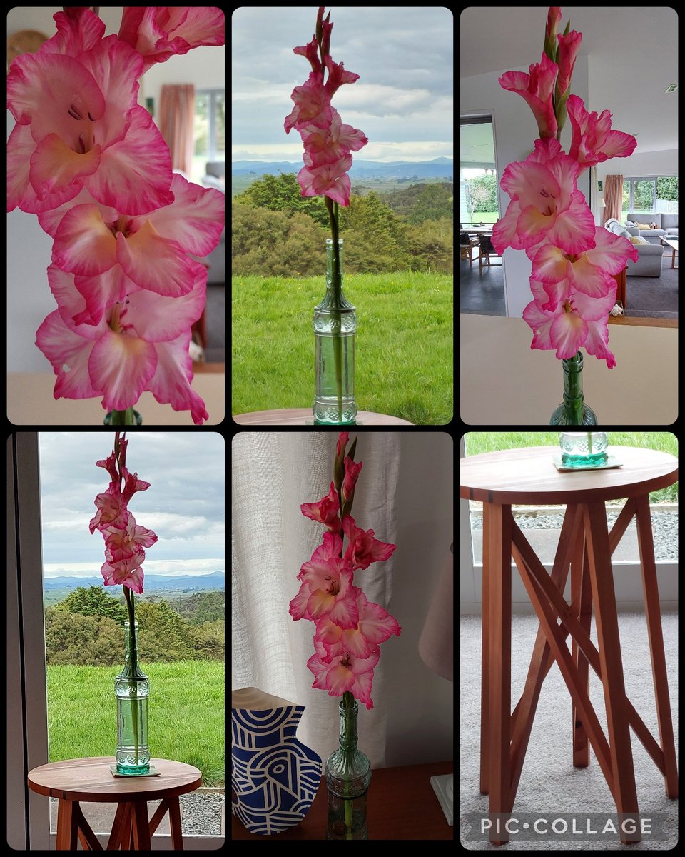 GabyLynch9's tweet photo. Yes I picked this glad from the garden. It's the cutting garden so it's allowed 😊 just couldn't decide where to put it 🤣#NewTable #WhatsInYourVase 💕 @FopianoJoy https://t.co/WEbKu4Fkgs