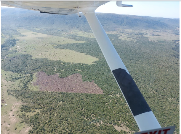 petertyrrell_ke's tweet photo. This is not enough - the rangelands of southern Kenya will not remain open and healthy for the vital wildlife and pastoral migrations (which have all but collapsed) unless more is done to twin locally-led institutions with far larger landscape-scale economic options and planning https://t.co/NfiqlUn1Wx