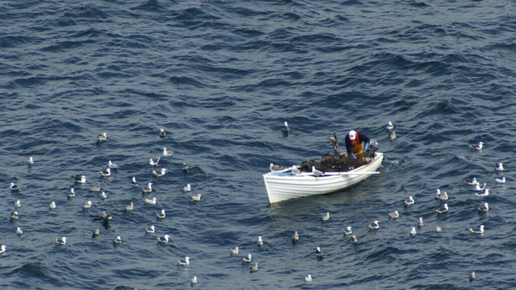 fnifeatures's tweet photo. Ireland's small-scale fishermen struggle as fuel prices double
https://t.co/mewXTXM9eE https://t.co/syMySgZi1u