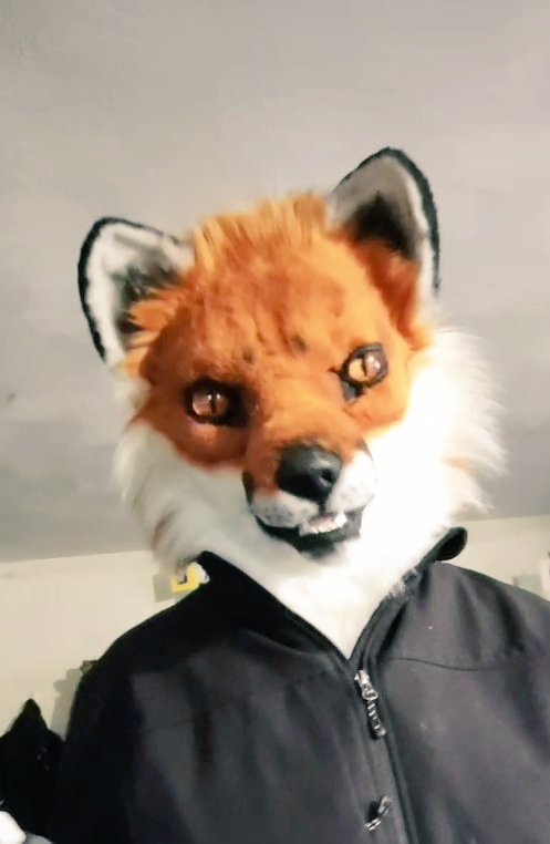Cask0n's tweet photo. I don't care what anyone says, I will always love realistic suits ๐ญ #realisticfursuit #realisticfurry #furry #fursuit #realisticsuiter #foxfursuit #foxfursona https://t.co/YWwMk9nzIH