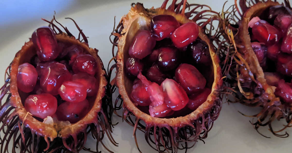 valerie2350's tweet photo. Easy Halloween Monster Snack Recipe https://t.co/PHqQzYj78f ad: #freakyfruit #freakyfruits https://t.co/zoBq9csteh