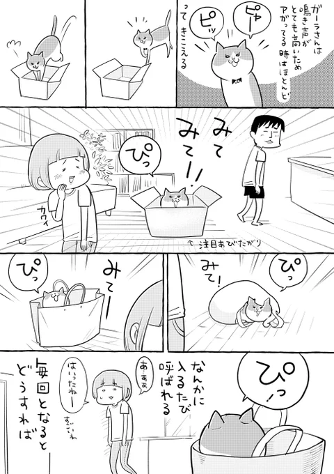 どうすればいいんだ 