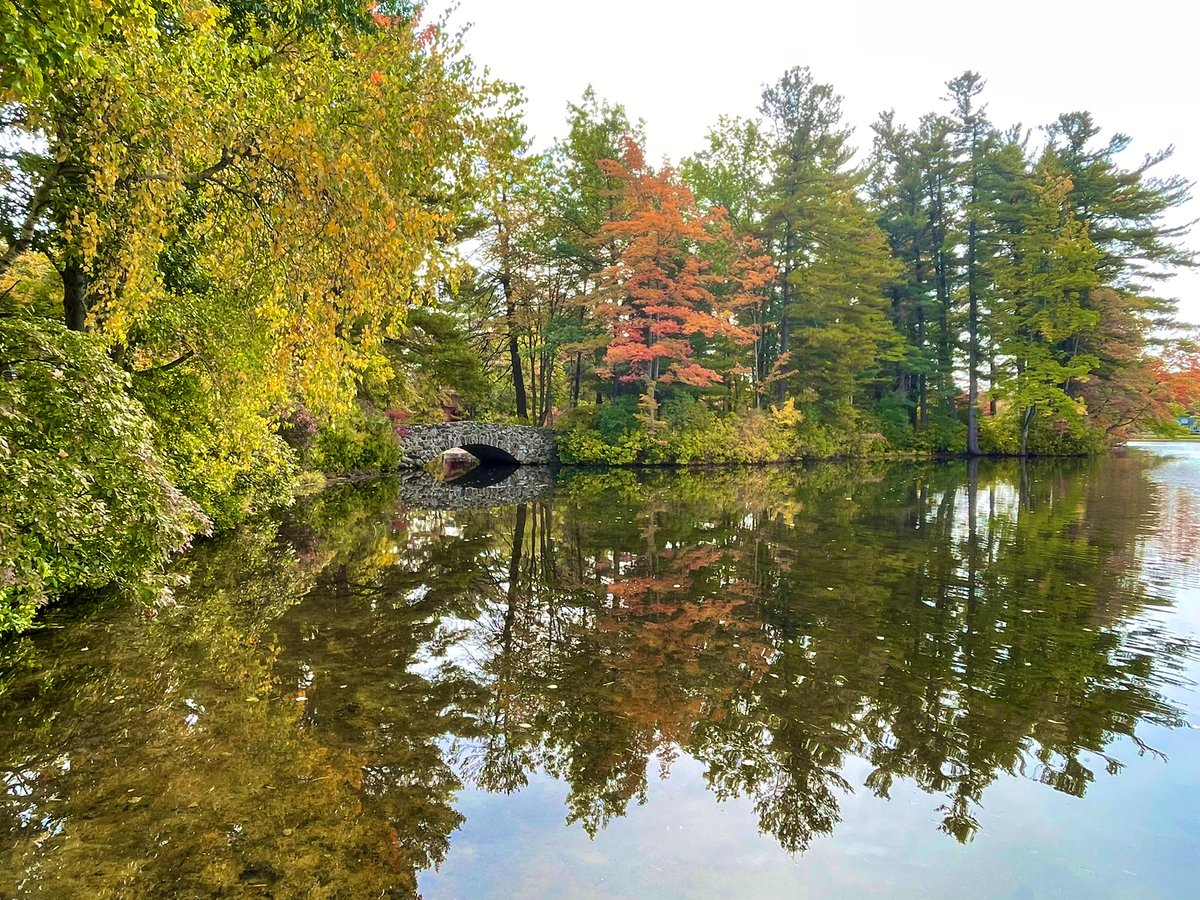 LittleBumLinny's tweet photo. #fall #autumn #foliage #massachusetts
#leominsterma #naturephotography
#iphone12pro @Apple @7News @boston25 @wbz https://t.co/4EkhjT4Xaa